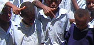foundation